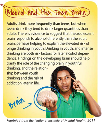 teen alcohol and brain development